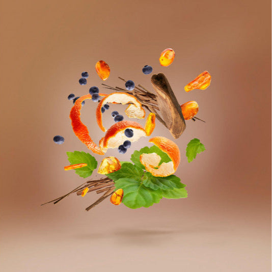 Xerjoff Richwood 100ml Eau De Parfum