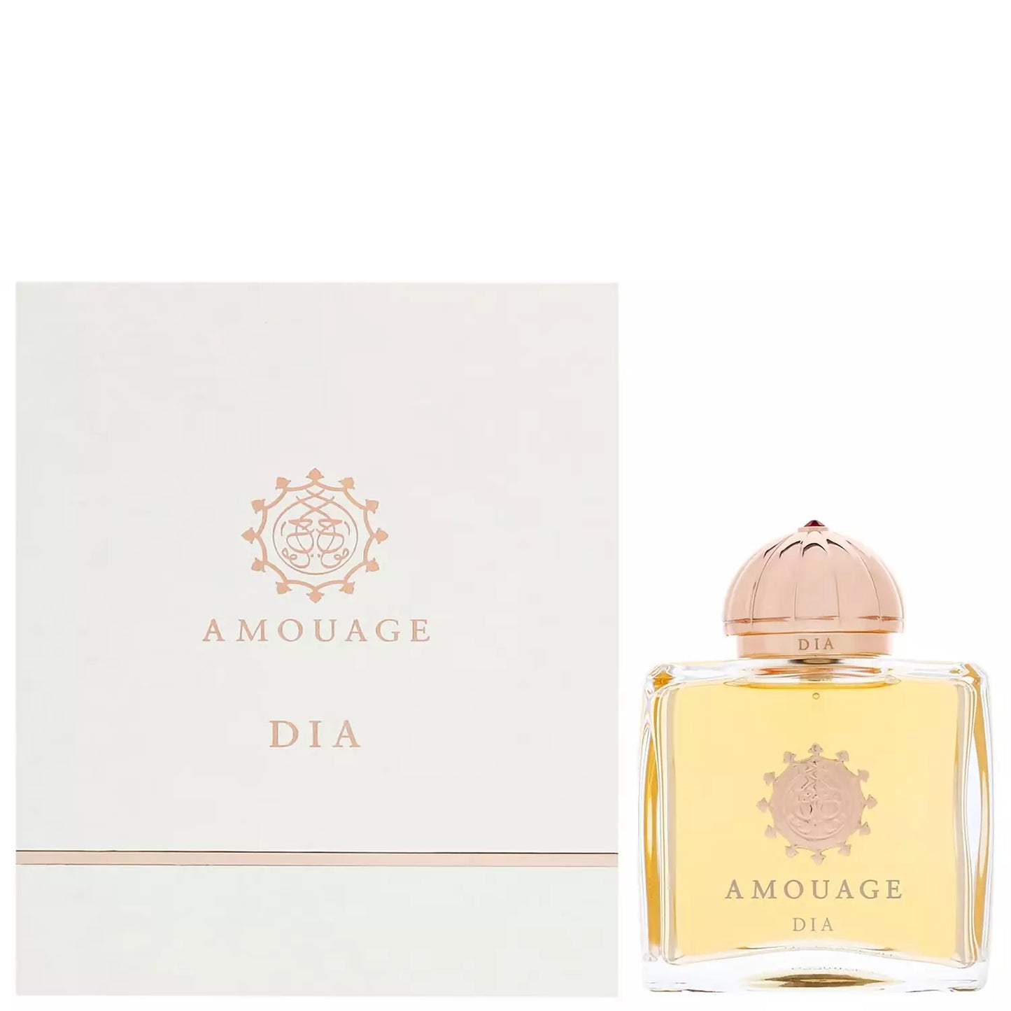 Amouage Dia 100ml Eau De Parfum for Woman